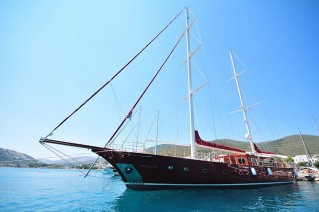 CasaDell Arte II -  Profile